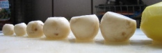 big_potato_lil_turnips.JPG.jpg