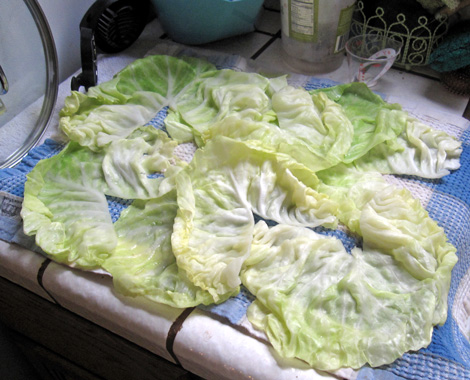 cabbage leaves laid out to dry